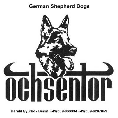 German Shepherd Dogs -vom Ochsentor-