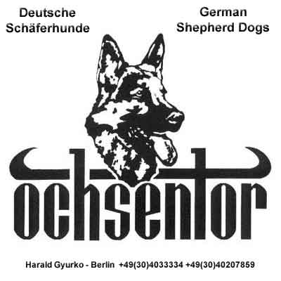 Zuchtsttte fr deutsche Schferhunde -vom Ochsentor-
